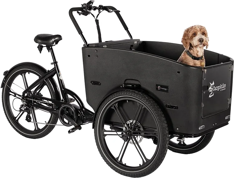 Cargobike Delight Nova Dog, produktbild