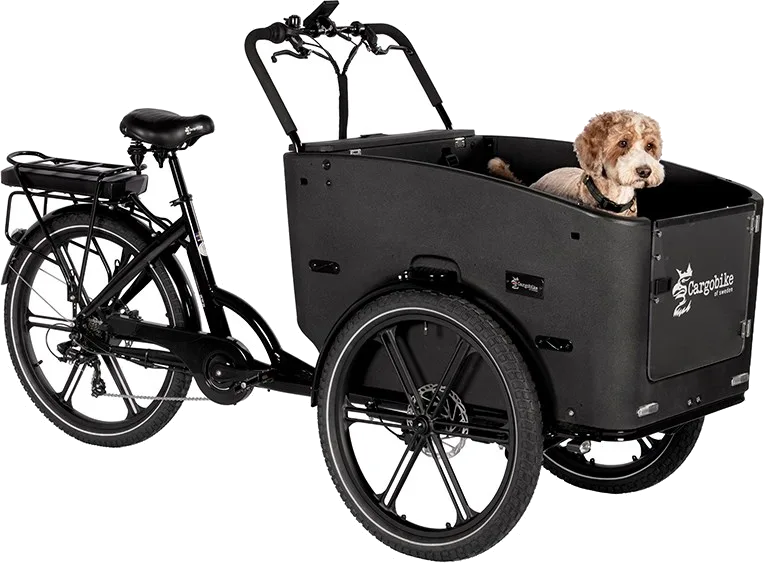Cargobike Flex Nova Dog med en hund i lådan