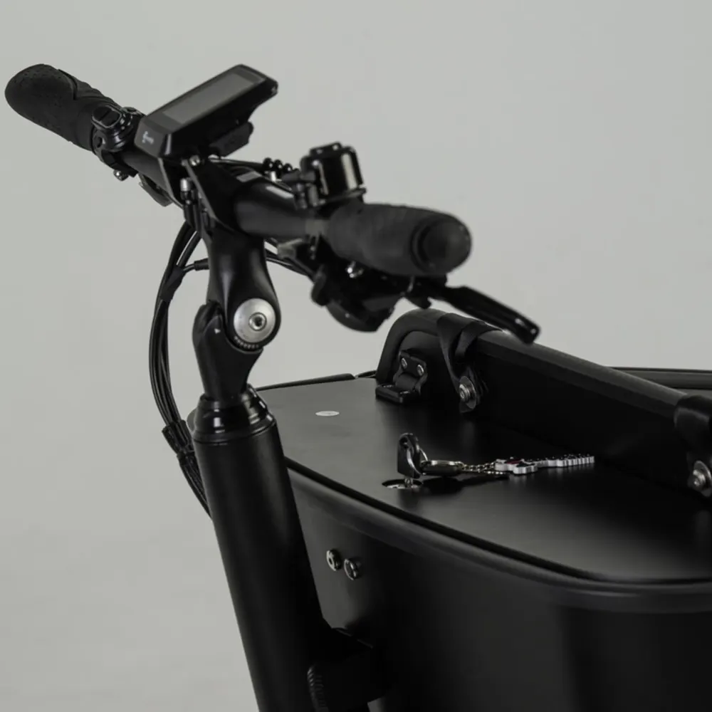 Styre och färgdisplay på Cargobike Long Lite