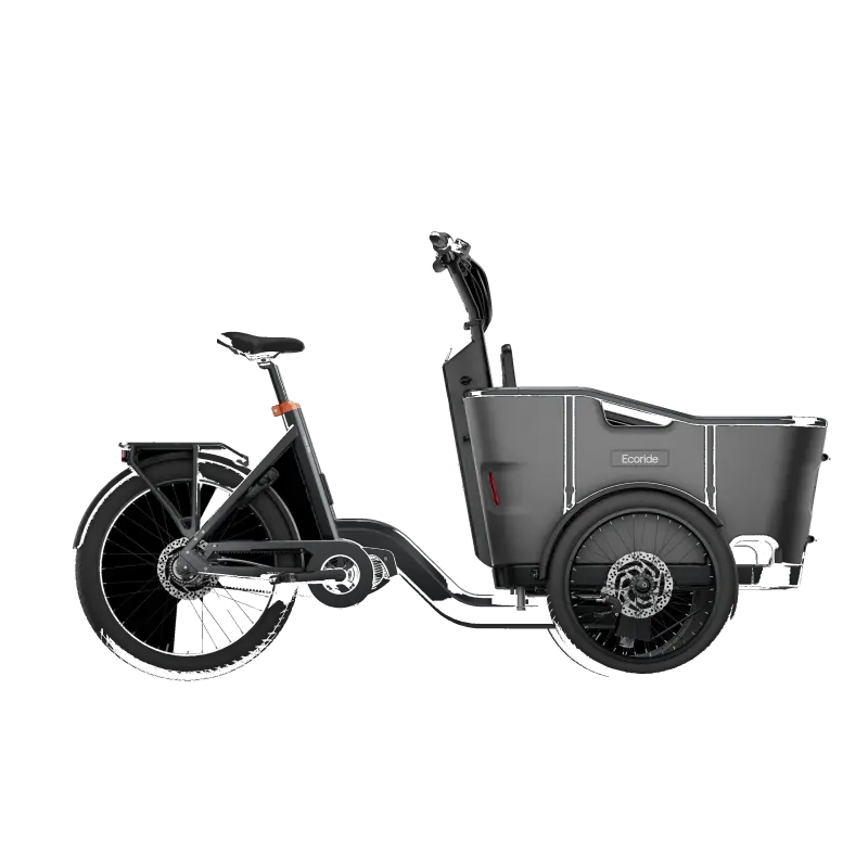 Ecoride Loader 806