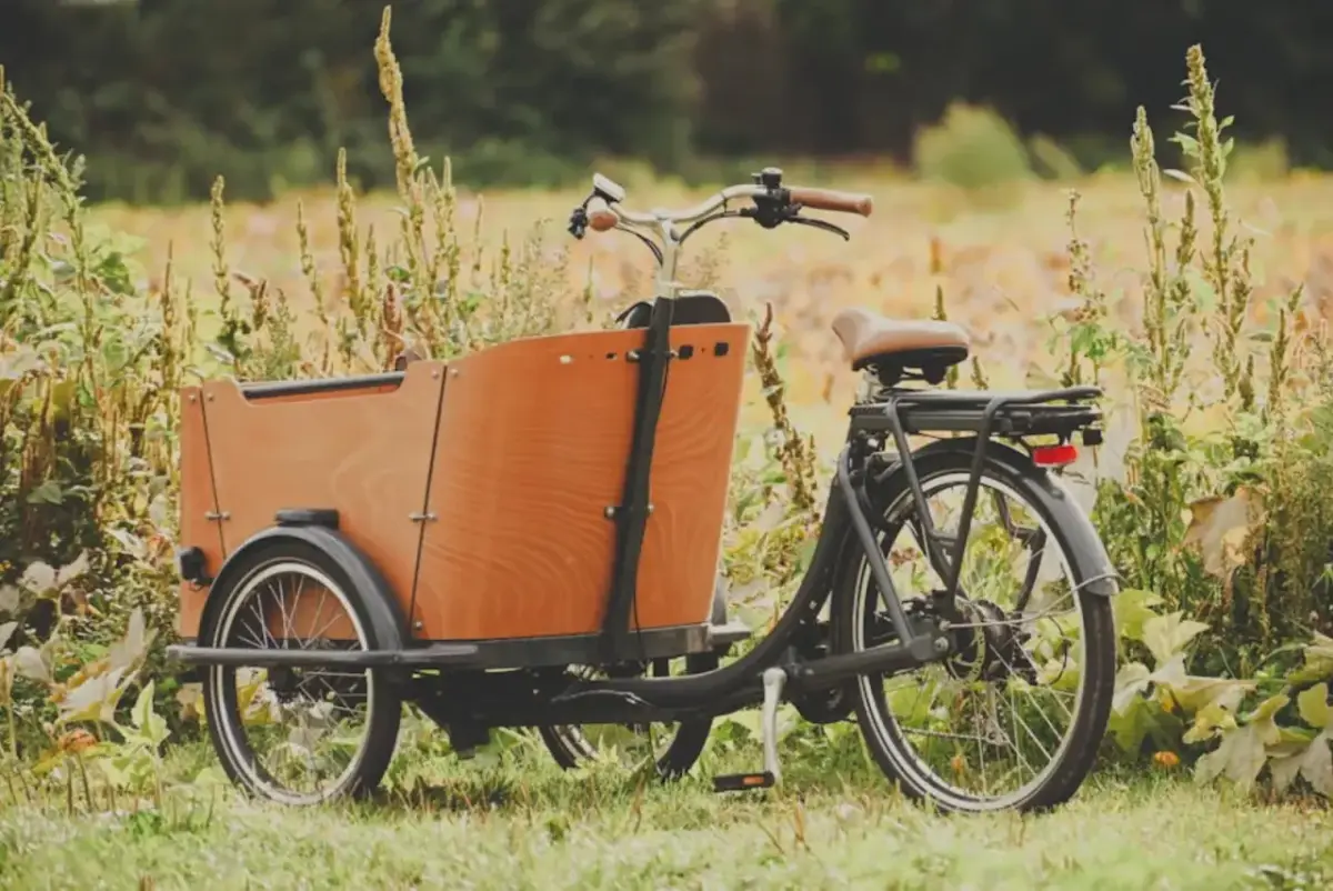 evobike mot babboe