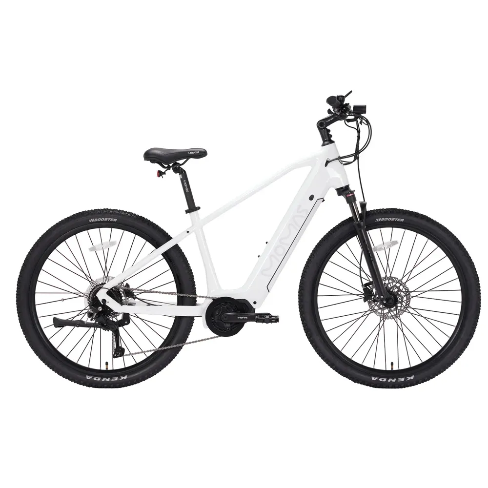 Momas Jason Pro+ elcykel test recension